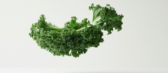 Obraz premium Fresh Kale Leaves on White Background