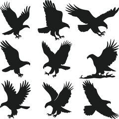 A Set of Eagle Silhouette Vector