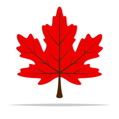 Red maple leaf flat color vector isolated illustration