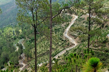 Hairpin bend winding roads, Papparsalli, Almora, Uttarakhand, India, Asia
