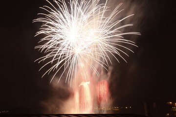 Fireworks exhibition in a summer night