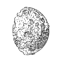 craters moon hand drawn. phases orbit, tides surface, exploration landing craters moon vector sketch. isolated black illustration