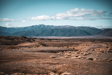 A dry landscape littered with shrubs with a green mountain range in the background