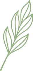 Fototapeta premium leaves isolated on white