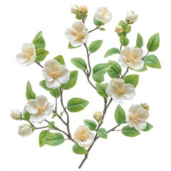 Obraz premium White Flower Branch with Green Leaves Isolated on White Background