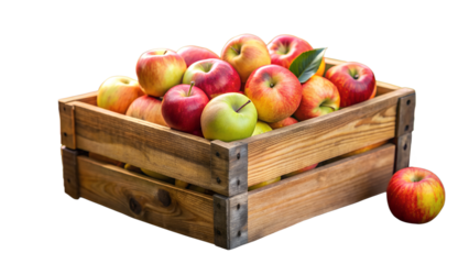 Fresh cider apples neatly arranged in a rustic wooden crate against a transparent background with a focus on organic harvest, autumn vibes, and sustainable farming concept, perfect for seasonal food a