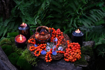 black candles, crystals, witch cauldron, amulet, rowan tree berries in forest. Magic, Witchcraft,...