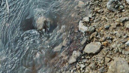 mountain stream flowing close-up. creek water flowing melted snow spring. stream flowing water between stones close-up. River flow in the depths lifestyle of the forest: flowing freshness of nature