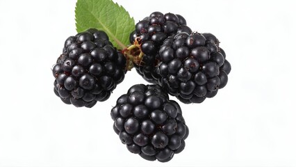 Blackberry fruit