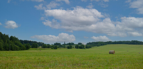 Fototapeta premium Drone view of the forest and fields, top view and blue sky on a sunny summer day