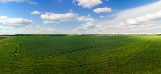 Obraz premium Drone view of the forest and fields, top view and blue sky on a sunny summer day