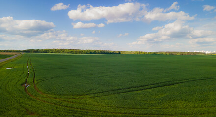 Drone view of the forest and fields, top view and blue sky on a sunny summer day