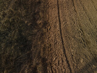 Drone view of the forest and fields, top view and blue sky on a sunny summer day