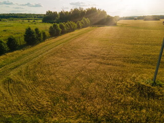 Obraz premium Panorama view from above of a summer landscape. Agriculture, green fields