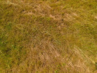 Drone view of the highway road, forest and fields, top view and blue sky