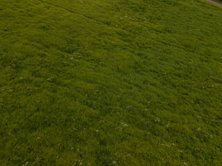 Obraz premium Drone view of the highway road, forest and fields, top view and blue sky