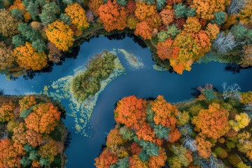 Fototapeta premium Stunning autumn wallpaper with vibrant nature, colorful leaves, and scenic fall trip views.