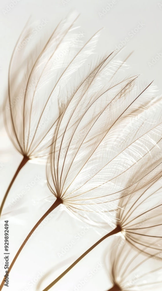 Poster three dandelion seed heads gently sway, revealing intricate details and textures illuminated by soft