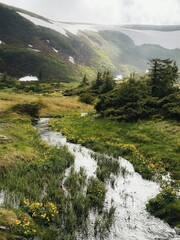 Mountain river in the Carpathian