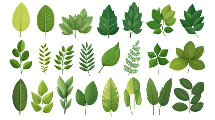 A collection of diverse green leaves featuring various shapes and sizes, perfect for nature-themed designs and illustrations.