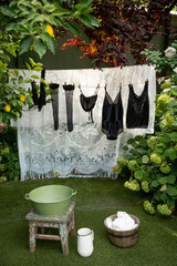 Big wash - women's black underwear drying on a rope in the garden against a white tulle background in a green garden with a lawn, blooming hydrangeas, lemons on the tree