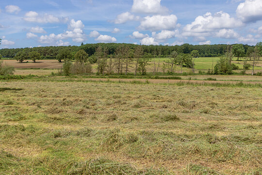 Agricultural landscape in the Eifel on the border between Belgium and Germany in the vicinity of Aachen