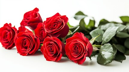 Cut-out frame with red roses on a white background