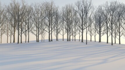 Snowy Morning Landscape with Frosty Trees and Clear Sky