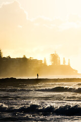 Fototapeta premium human standing in the ocean steam in the distance at sunrise