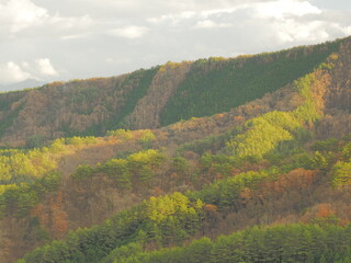 Obraz premium 秋の山肌の色づき