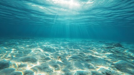 Tranquil sea water surface on a sunny day, Underwater sea in sunlight, tropical blue ocean underwater background 