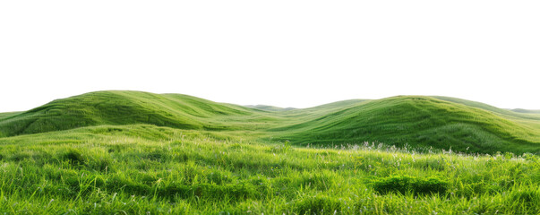 green grassland landscape isolated on white or transparent png