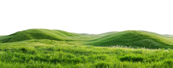Fotobehang green grassland landscape isolated on white or transparent png © David Kreuzberg