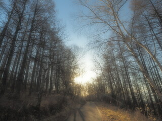 朝日へと続く道