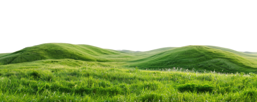 green grassland landscape isolated on white or transparent png