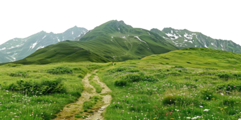 green grassland landscape isolated on white or transparent png