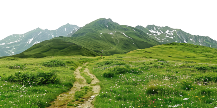 green grassland landscape isolated on white or transparent png