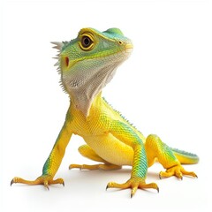 Obraz premium Isolated on a transparent background, the full body of a green lizard