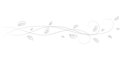 Doodle autumn leaves flying in the wind. Falling season outline backdrop, air flow leaves wave linear pattern or wind blowing doodle vector print. Autumn windy weather hand drawn monochrome background