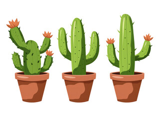 illustration of cactus in pot isolated on white or transparent png
