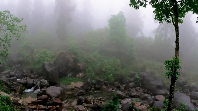 Rainy Evening View from Balcony Overlooking Mountain River in Dooars