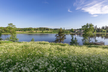 Obraz premium A field of flowers with a lake in the background