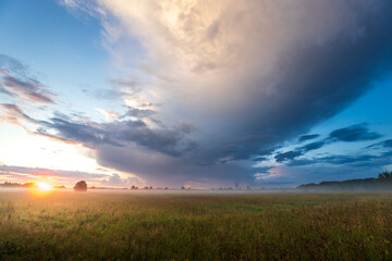 A field with a large cloud in the sky