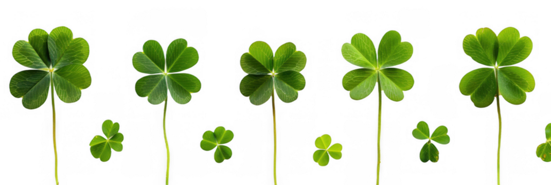 Row of Green Clover Leaves
