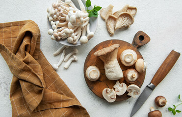 Assortment of various mushrooms