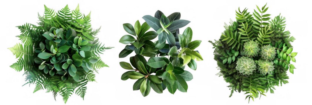 Circular Green Foliage Arrangements