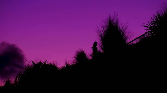 Silhouetted Maori cultural pou whenua carved statue against beautiful sunset sky in Wellington, New Zealand Aotearoa