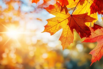 Fototapeta premium A red maple leaf against a blue sky background in autumn. The focus is selective