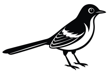 Obraz premium Black and White Owl Vector Illustration Design 