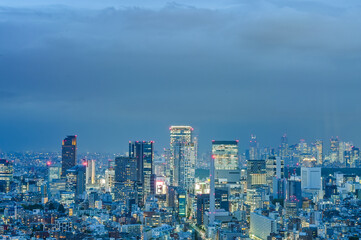 Fototapeta premium 日本の首都東京の夜景